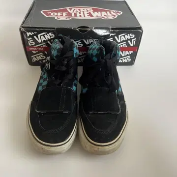 vans mt.edition
