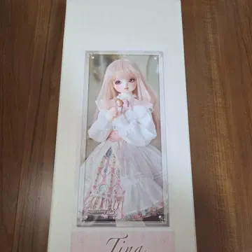 sdm 티나 풀세트