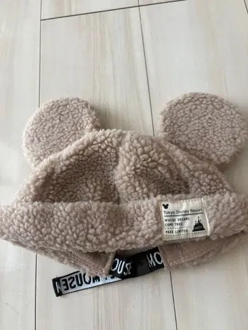 디즈니 캡 보아 모자