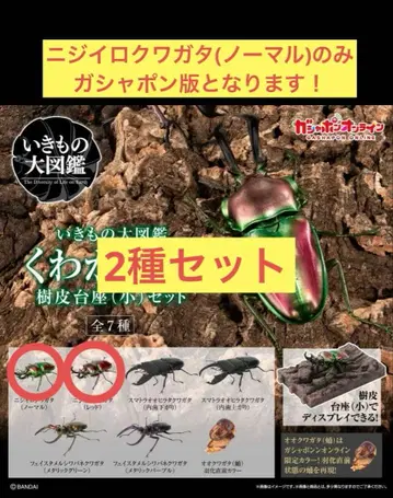 반다이 생물대도감 사슴벌레 10 가샤폰판 온라인판 세트