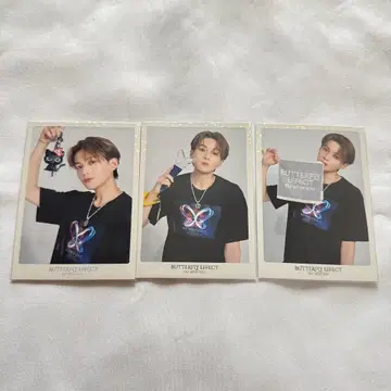 야기 유세이 포토 카드 컴프