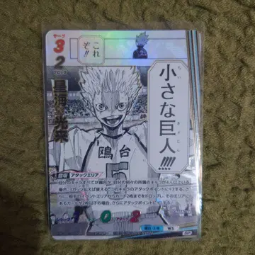 하이큐!! 바보카!! BREAK SP 호시우미 코라이