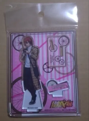 겁쟁이 페달 겁페 아크릴 스탠드 신카이 하야토