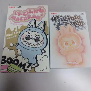 마카롱 에너지 러브브 세트 판매