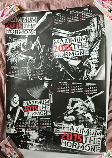 맥시멈 더 호르몬 2015년 달력