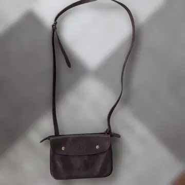 일 비종떼 사코슈