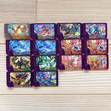 프렌다 피크 포켓몬 블랙 보라색 14개