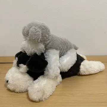 흐물흐물 슈나우저 늘어뜨린 BIG 릴랙스 JB 슈나 타르 세트