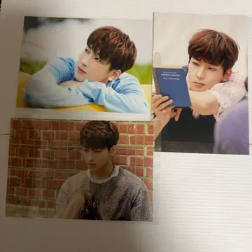 seventeen 컨셉존 원우 3장 세트