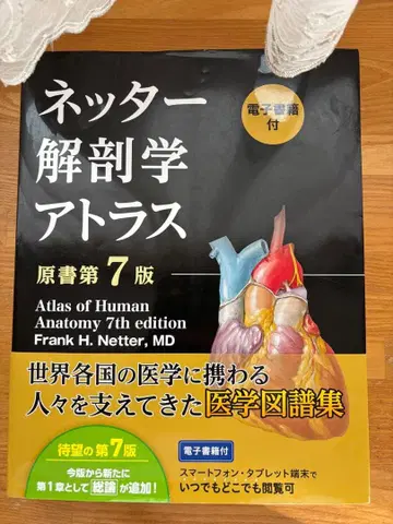 [ 넷터 해부학 아틀라스 ] 제7판 [ 남강당 ]