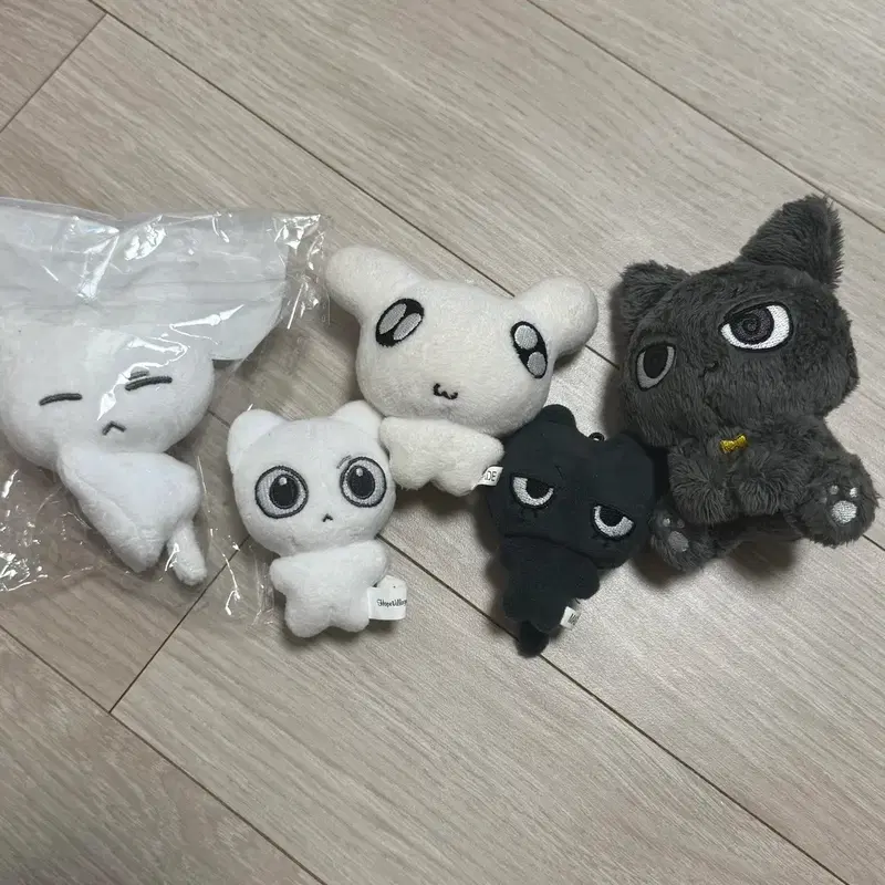보넥도 보이넥스트도어 인형 양도