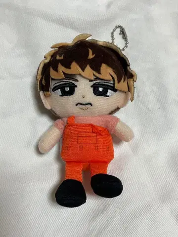 무카이 코지 스노우 칠