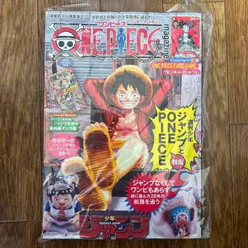 ONE PIECE magazine 원피스 매거진 20호