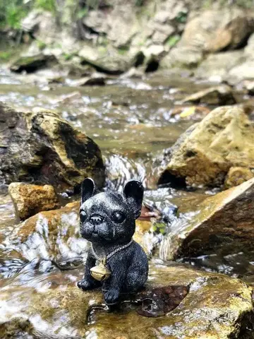 오키나와 타키 타키 영혼 치유 대리 수호견 오르가나이트