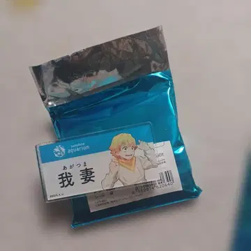 선샤인 수족관 아가츠마 젠이츠 핀 배지