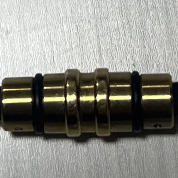 콜란토테 골드 L 사이즈(51cm)