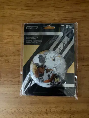 젠레스 존 제로 안비 캔 배지