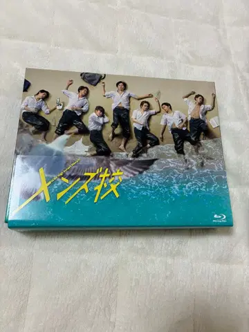 남성용교 Blu-ray BOX (5매)