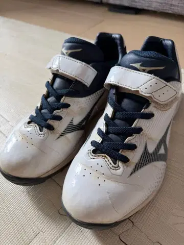 미즈노 트레이닝 슈즈 22.5