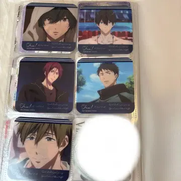 free! 힐튼 콜라보 코스터 세트