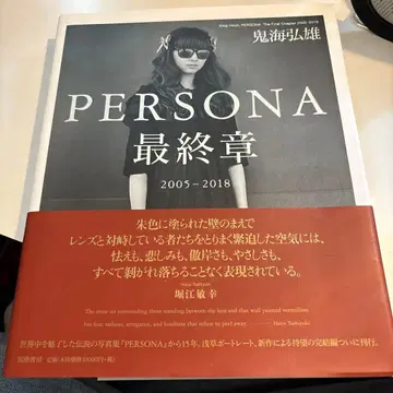 PERSONA 최종장 2005-2018