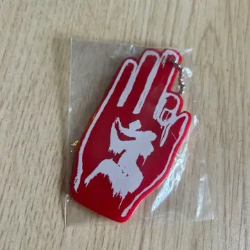 진천지개벽집단 지그재그 라이브 키링