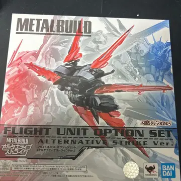 메탈빌드 플라이트 유닛 옵션 세트 얼터너티브 스트라이크 ver