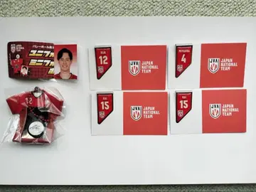 일본 남자 배구