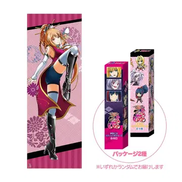 전국 오토메 스틱 포스터 [ 타치바나 도세츠 ]