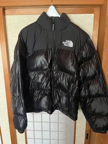 THE NORTH FACE 블랙 다운 자켓 L/100