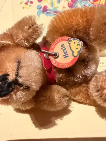 베를린 구매 컨디션 최상 슈타이프 1950년대 닥스훈트