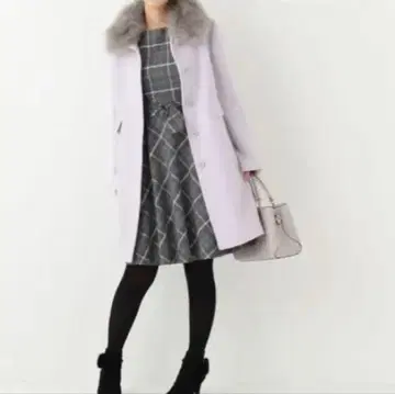 애니시스, 코트