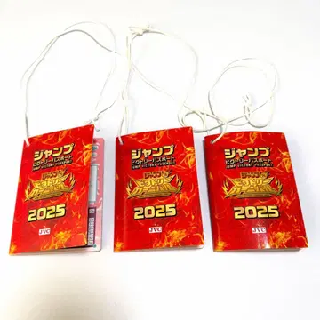 점프 빅토리 카니발 여권 2025 3권