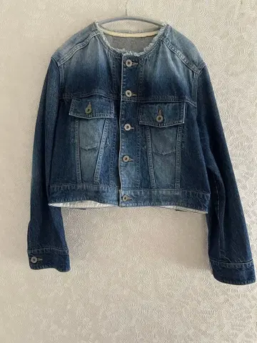 로이스크레용 그라데이션 데님 블루 크롭 자켓