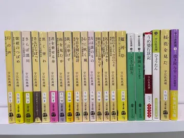 문고본 우에사 마리 21권 세트