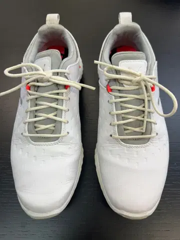 Puma 골프화 화이트/그레이/레드