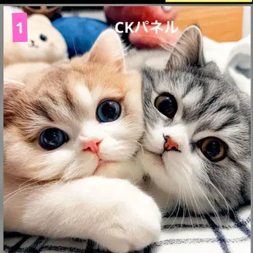 플랫 파우치 6중 거즈 손수건 오더 접수 페이지