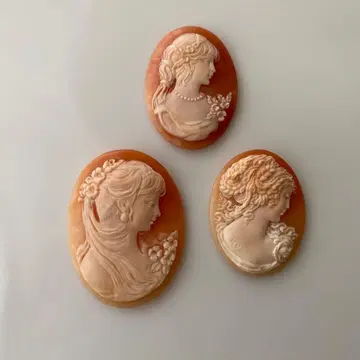 쉘 카메오 카메오 루스 3세트 작가 사인 포함