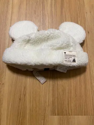 디즈니랜드 팬 캡 겨울