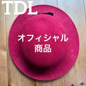 레트로 TDL 도쿄 디즈니랜드 펠트 모자 햇 로고 일본제