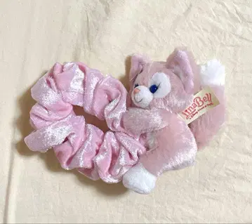 홍콩 리나벨 슈슈