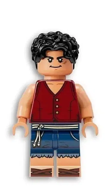 레고 75637에 포함된 미니 피규어 루피 1개