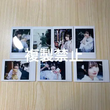 슈뢰딩거의 개 고양이 그것은 폴라로이드 세트