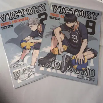 하이큐!! 클리어 파일 2장 세트