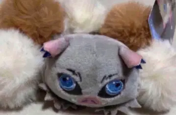 USJ 귀멸의 칼날 이노스케 팔찌 USJ 유니버셜 한정품 택 포함