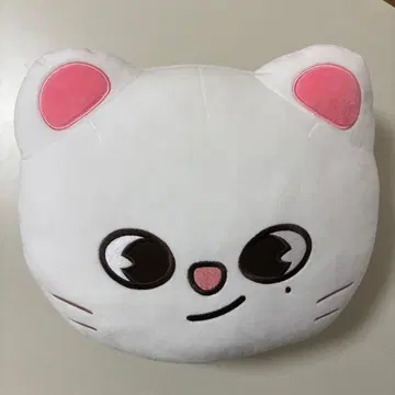 Stray Kids 현진 지니레트 쿠션