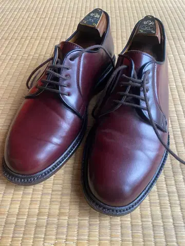 Berwick 4406RDJRBU CORDOVAN