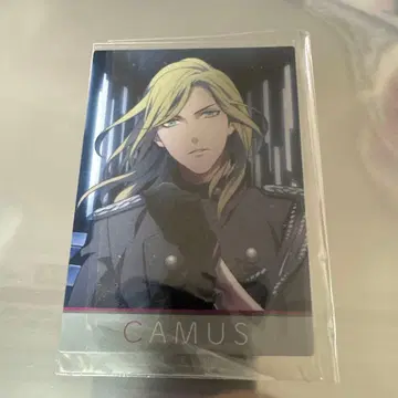 우타프리 sas2 메세지 카드 카뮈