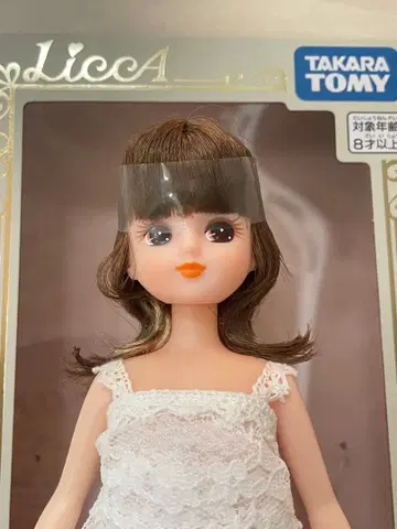 포토제닉 리카 본체 설명문 필수