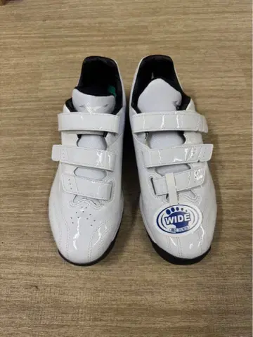 트레이닝 슈즈 MIZUNO 미즈노 11GT222001 25.5cm